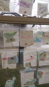 Our seeds are starting to sprout new life!