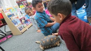 Science Alive came to visit us!!! We learned more about living things!