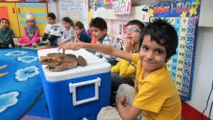 Science Alive came to visit us!!! We learned more about living things!