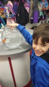 Meet our class pet...Goldie!