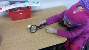 We are learning about snails!