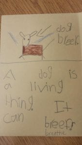 We have been writing and learning about what makes something living!