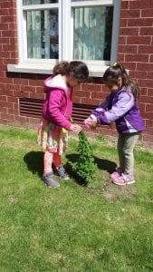 We planted a little tree!