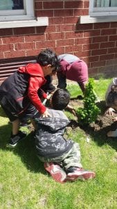 We planted a little tree!