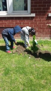 We planted a little tree!