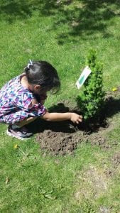 We planted a little tree!