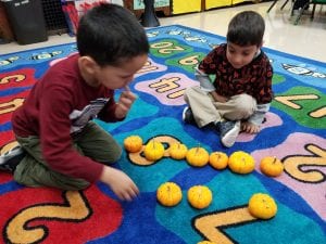 We are putting the pumpkins in number order!