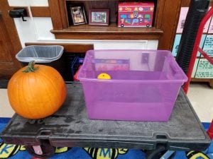 The tiny pumpkin floated!
