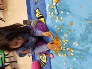 The guts of the pumpkins were pretty squishy!