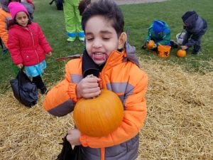We loved Oakman's Pumpkin Patch!