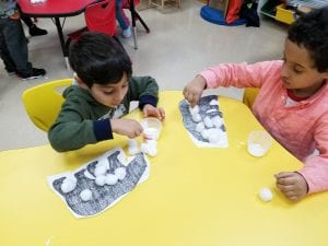 We are covering the black skin on our polar bear with white cotton balls! We learned that a polar bear has clear fur that appears white. Underneath the fur is a black skin to help keep the polar bear warm!