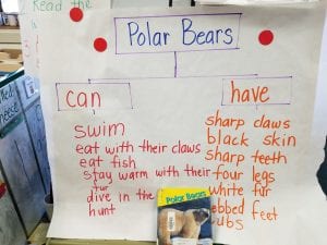 We used a tree map to record the facts we learned about Polar Bears during writer's workshop.