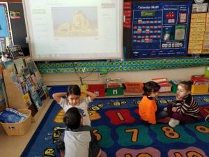 We asked each other questions about lions using question words!