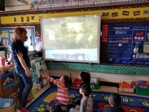 Thank you, Ms. Logel for sharing your safari pictures with us!