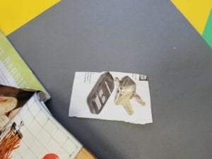 We sorted pictures of living and non living things! Keys are non-living things. They do not grown and change, nor do they need food and water.