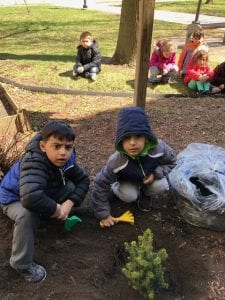 We cannot wait to see our tree grow!