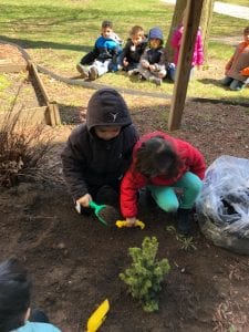 We are putting soil around our little tree!