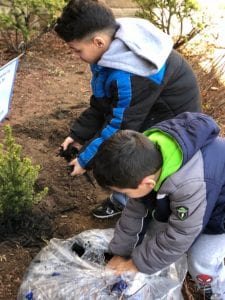 We cannot wait to see our tree grow!