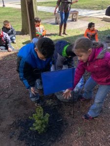 We cannot wait to see our tree grow!