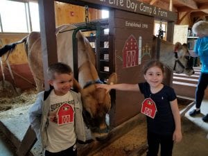 We milked the cow!