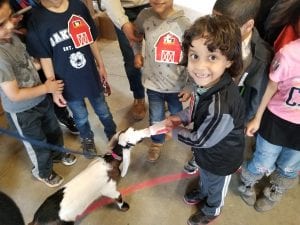 We had fun bottle feeding the animals!