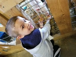 We fed the piglets!