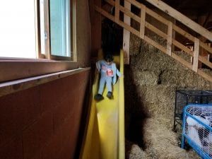 There was a slide inside the barn!!