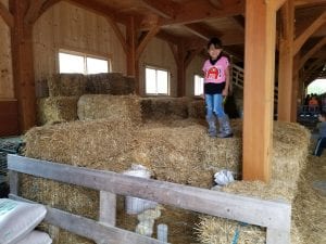 We loved the farm!