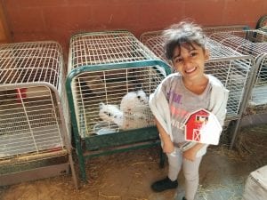 We held week old bunnies!