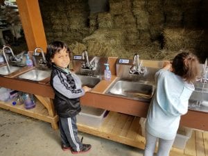 We washed our hands after milking the cow and playing with the animals!