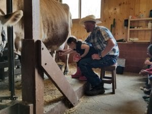 We milked a cow!
