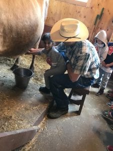 We milked a cow!!!