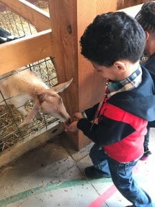 We hand fed the animals!