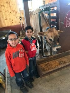 We milked a cow too!