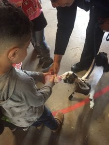 We bottle fed a baby goat!