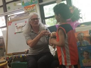 We learned about how vets take care of animals!