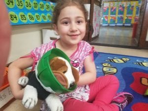 We learned about what happens when pets have surgery.