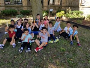 We had popsicles at school under the big shady tree!