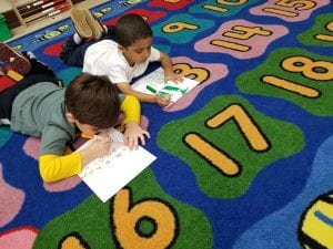 We write by drawing a picture on the top and "words'" on the bottom. :)