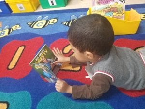 I introduced informational text today! The children were each given a new informational text for their book boxes.