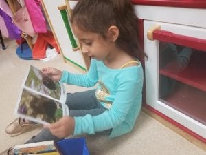 We read our informational books during read to self time as part of aDaily 5!