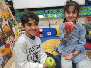 We are learning about opinion writing and how to share our opinion. We each tried a piece of a green apple and a piece of a red apple to form an opinion about which one we like the best.