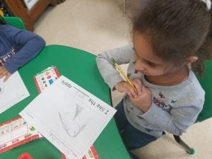 We wrote and illustrated our final writing about which apple we like the best. 