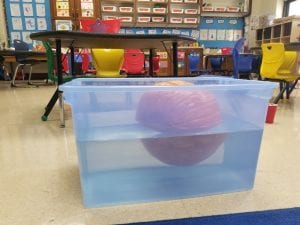 We discovered a pumpkin will float!!!