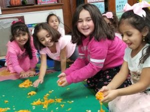 We used our 5 senses to investigate the pumpkins insides.