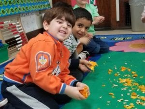 We used our 5 senses to investigate the pumpkins insides.