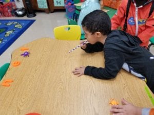 We raced spiders!