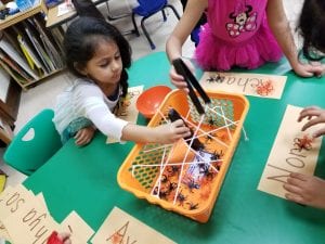 We grabbed spiders to count the letters in our names!