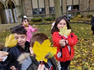 We went on the Leaf Hunt after learning about the letter Ll.