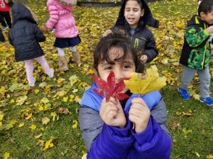 We went on the Leaf Hunt after learning about the letter Ll.